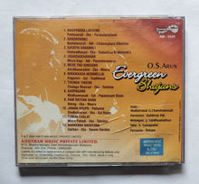 Evergreen Bhajans - O. S. Arun