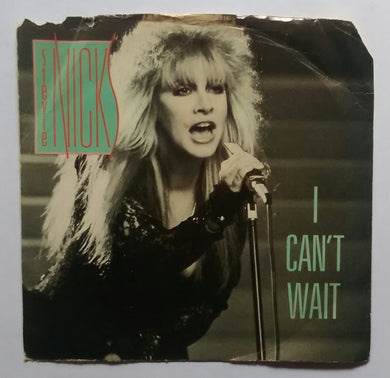 Stevie Nicks - 